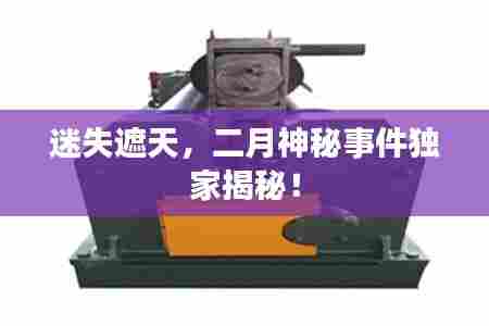 迷失遮天,二月神秘事件独家揭秘!