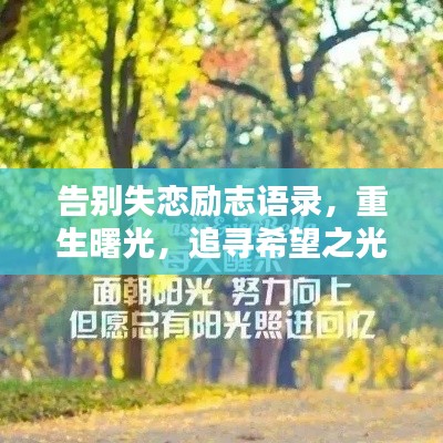 告别失恋励志语录，重生曙光，追寻希望之光