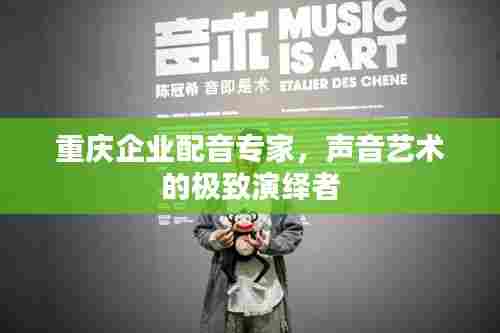 重庆企业配音专家,声音艺术的极致演绎者