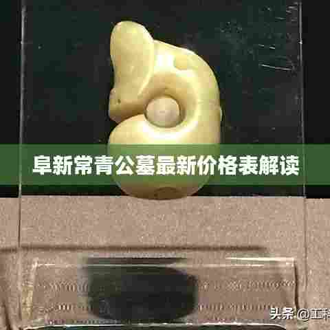 阜新常青公墓最新价格表解读