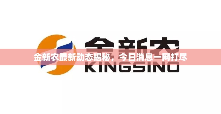 金新农最新动态揭秘,今日消息一网打尽