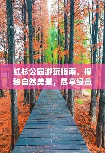 红杉公园游玩指南,探秘自然美景,尽享绿意盛宴!