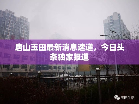 唐山玉田最新消息速递,今日头条独家报道