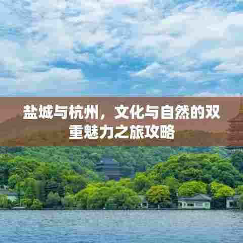 盐城与杭州,文化与自然的双重魅力之旅攻略