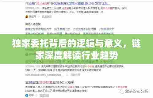 独家委托背后的逻辑与意义,链家深度解读行业趋势