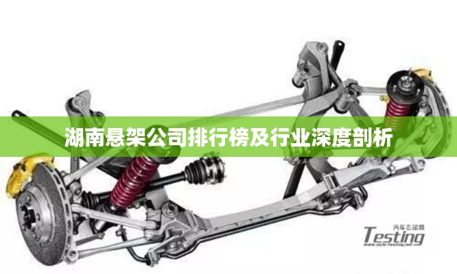 湖南悬架公司排行榜及行业深度剖析