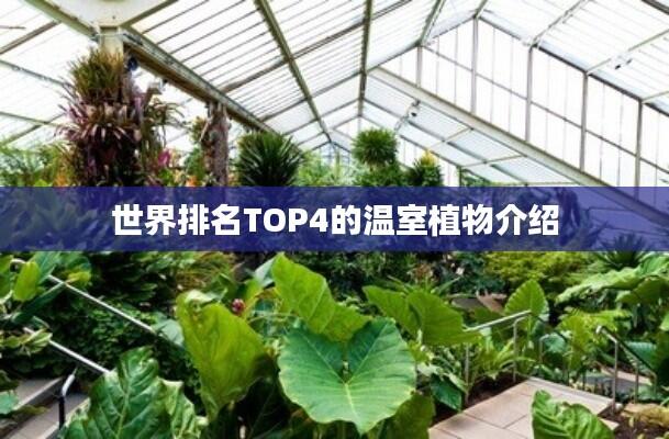 世界排名TOP4的温室植物介绍