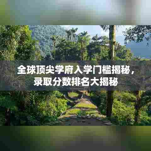 物离乡贵 第6页