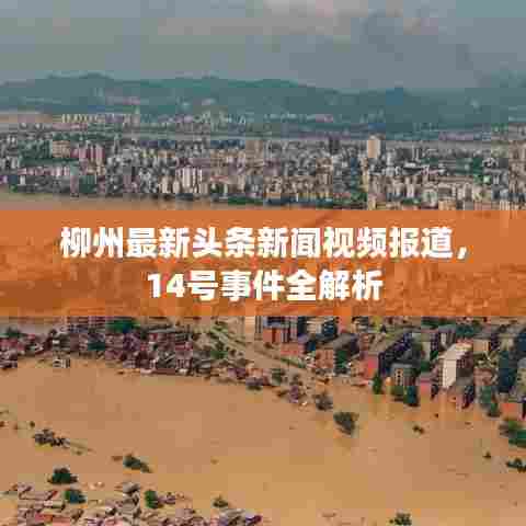 柳州最新头条新闻视频报道,14号事件全解析