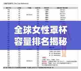 全球女性罩杯容量排名揭秘,神秘数字背后的真相探究