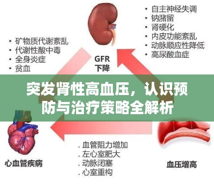 突发肾性高血压,认识预防与治疗策略全解析