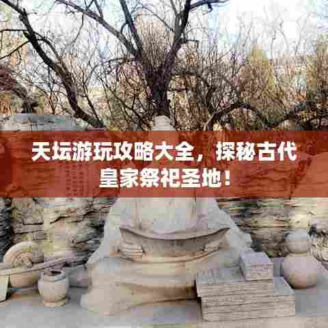 天坛游玩攻略大全,探秘古代皇家祭祀圣地!