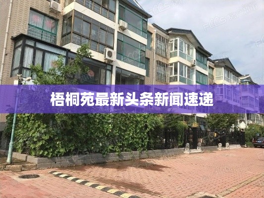 梧桐苑最新头条新闻速递