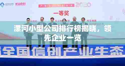 漯河小型公司排行榜揭晓，领先企业一览