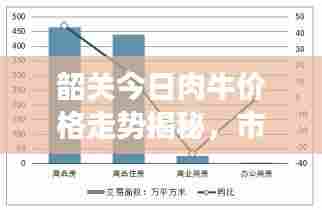 韶关今日肉牛价格走势揭秘，市场分析及影响因素探讨