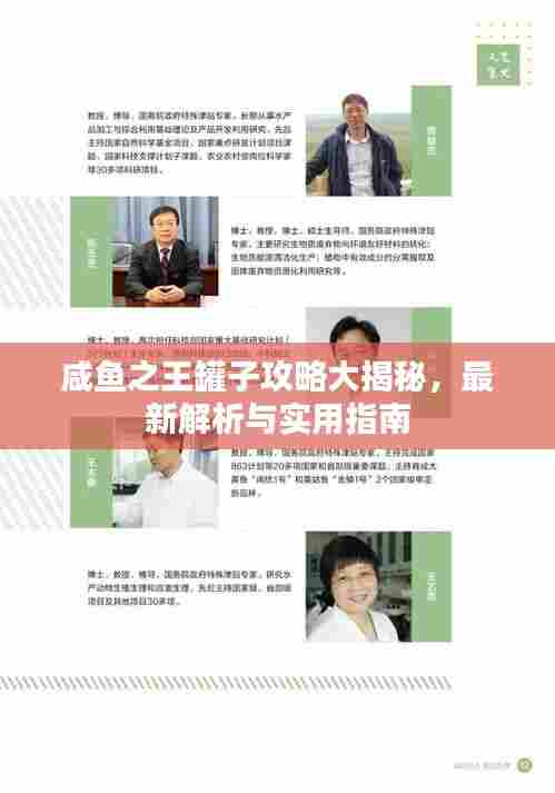 咸鱼之王罐子攻略大揭秘,最新解析与实用指南