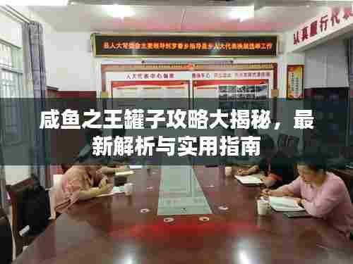 咸鱼之王罐子攻略大揭秘,最新解析与实用指南