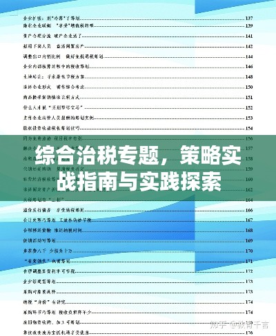综合治税专题，策略实战指南与实践探索