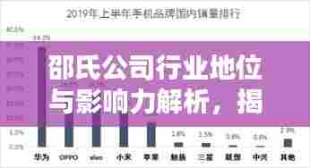 邵氏公司行业地位与影响力解析，揭秘其在行业中的排名及深远影响