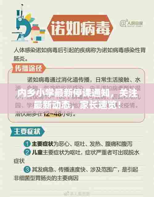 内乡小学最新停课通知,关注最新动态,家长速览!