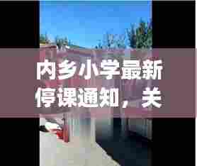 内乡小学最新停课通知,关注最新动态,家长速览!