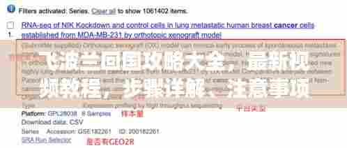 飞波兰回国攻略大全，最新视频教程，步骤详解、注意事项及实用建议一网打尽