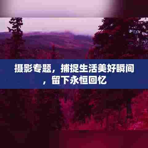 摄影专题,捕捉生活美好瞬间,留下永恒回忆