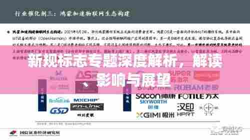 新规标志专题深度解析,解读、影响与展望