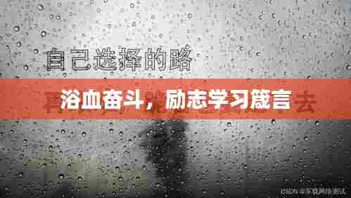 浴血奋斗，励志学习箴言