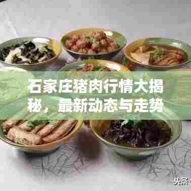 石家庄猪肉行情大揭秘,最新动态与走势分析!