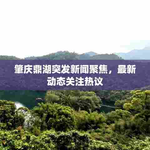 肇庆鼎湖突发新闻聚焦，最新动态关注热议
