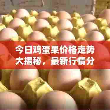 今日鸡蛋果价格走势大揭秘，最新行情分析！