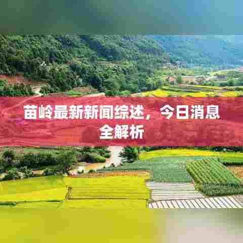 苗岭最新新闻综述,今日消息全解析