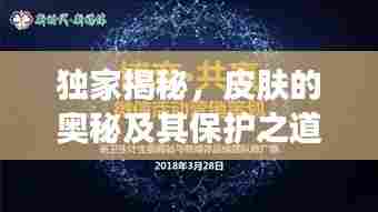 独家揭秘,皮肤的奥秘及其保护之道
