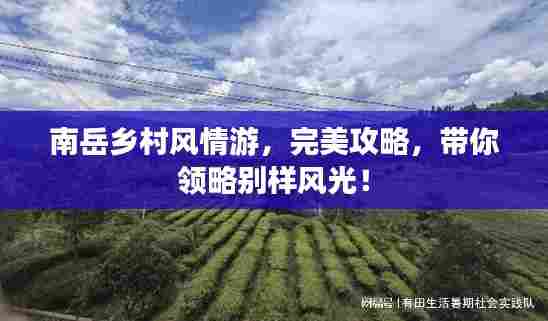南岳乡村风情游,完美攻略,带你领略别样风光!