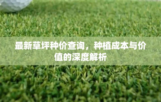 最新草坪种价查询,种植成本与价值的深度解析