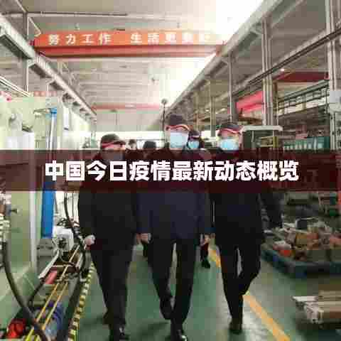 中国今日疫情最新动态概览