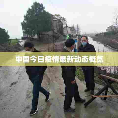 中国今日疫情最新动态概览