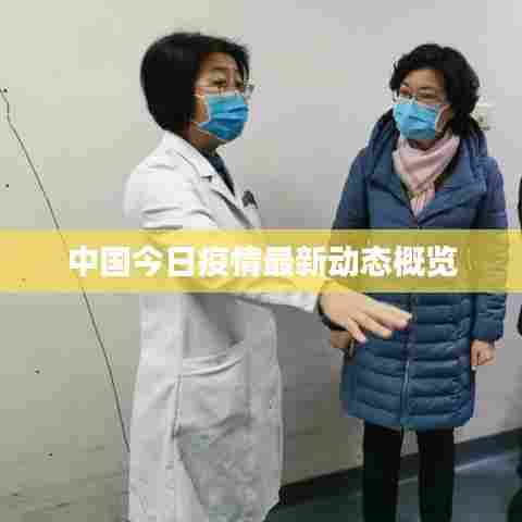 中国今日疫情最新动态概览