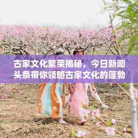古家文化繁荣揭秘,今日新闻头条带你领略古家文化的蓬勃发展