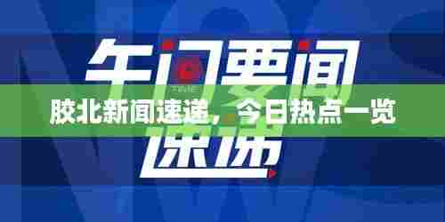胶北新闻速递,今日热点一览