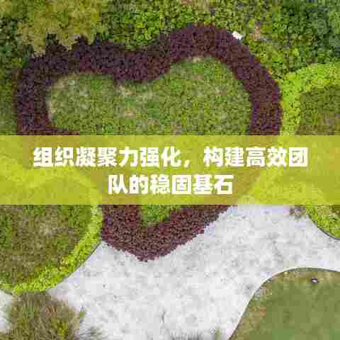 组织凝聚力强化,构建高效团队的稳固基石