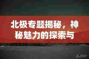 北极专题揭秘，神秘魅力的探索与未来挑战