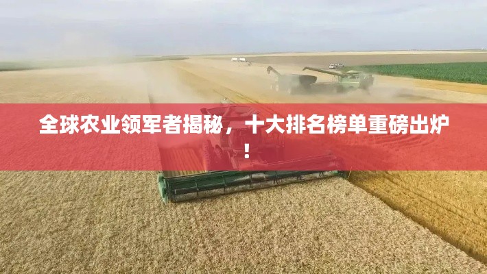 全球农业领军者揭秘,十大排名榜单重磅出炉!