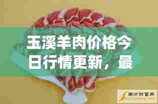 玉溪羊肉价格今日行情更新,最新动态及市场走势分析