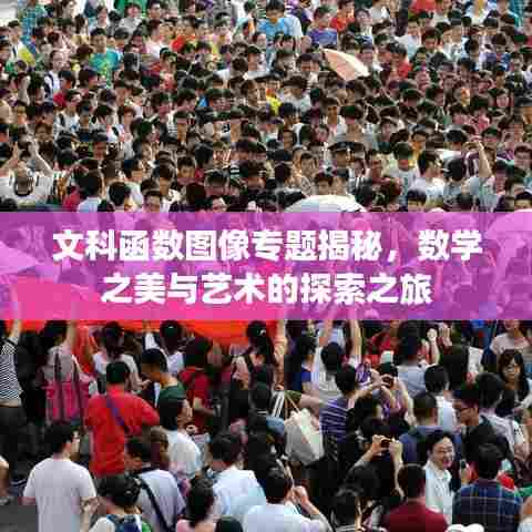 文科函数图像专题揭秘,数学之美与艺术的探索之旅