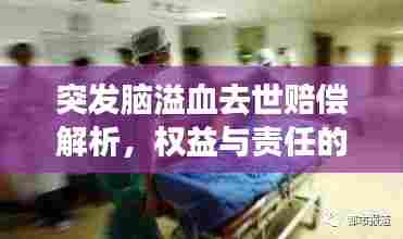 突发脑溢血去世赔偿解析,权益与责任的深度解读