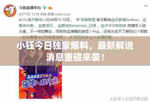小钰今日独家爆料,最新解说消息重磅来袭!