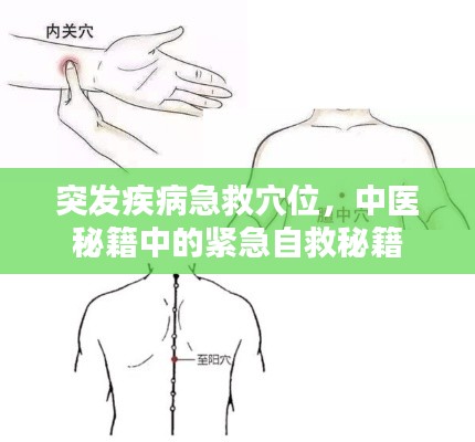 突发疾病急救穴位,中医秘籍中的紧急自救秘籍