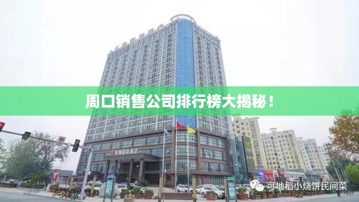 周口销售公司排行榜大揭秘!